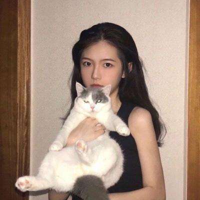 风暴战争破解版下载